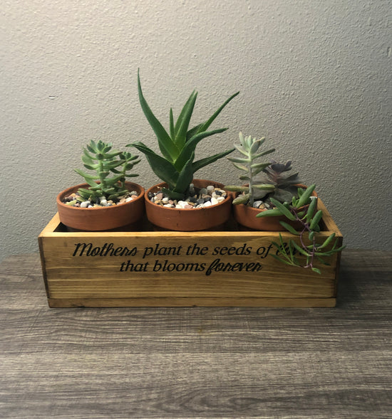 Planter Box with live succulents - Perfect for Sympathy Gifts, Weddings, Etc. - Add Personalization