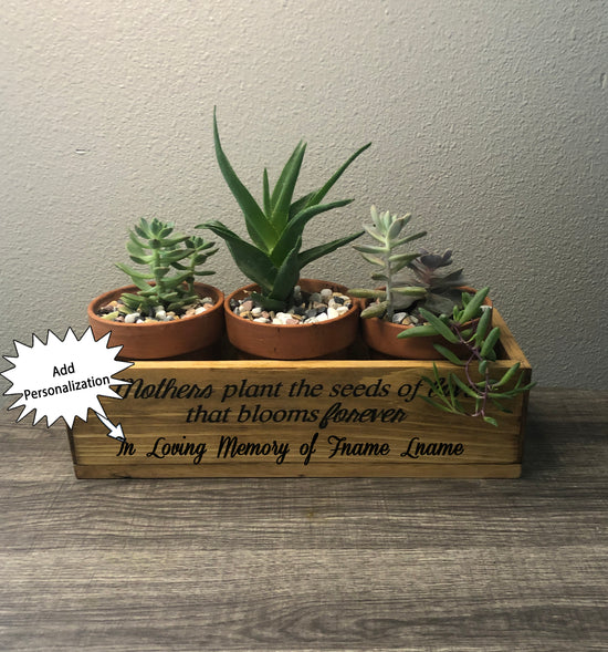 Planter Box with live succulents - Perfect for Sympathy Gifts, Weddings, Etc. - Add Personalization