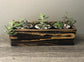 Planter Box with Live Succulents - Perfect for any occasion - Add Personalization