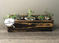 Planter Box with Live Succulents - Perfect for any occasion - Add Personalization