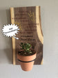 Memorial Plaque on Walnut with Live Succulent Plant - Add Personalization